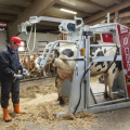 Nyílt napok a Stallprofinál